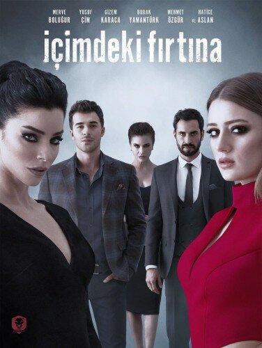 Буря внутри меня poster