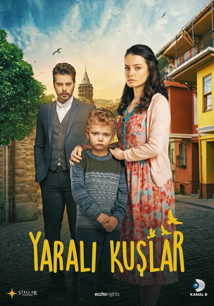 Раненые птицы poster
